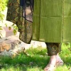 women green ajrak dupatta set