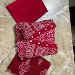 teal blue traditional printed dupatta set (copy)